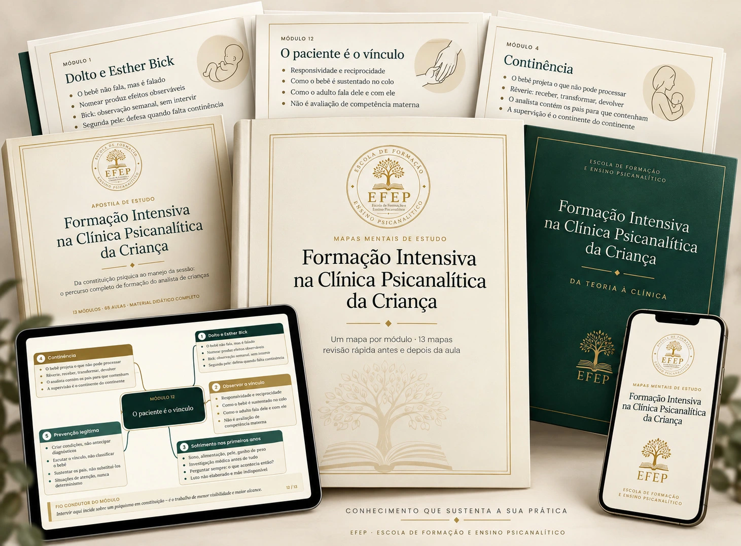 Mapa mental do Módulo 5 — O brincar na clínica com crianças